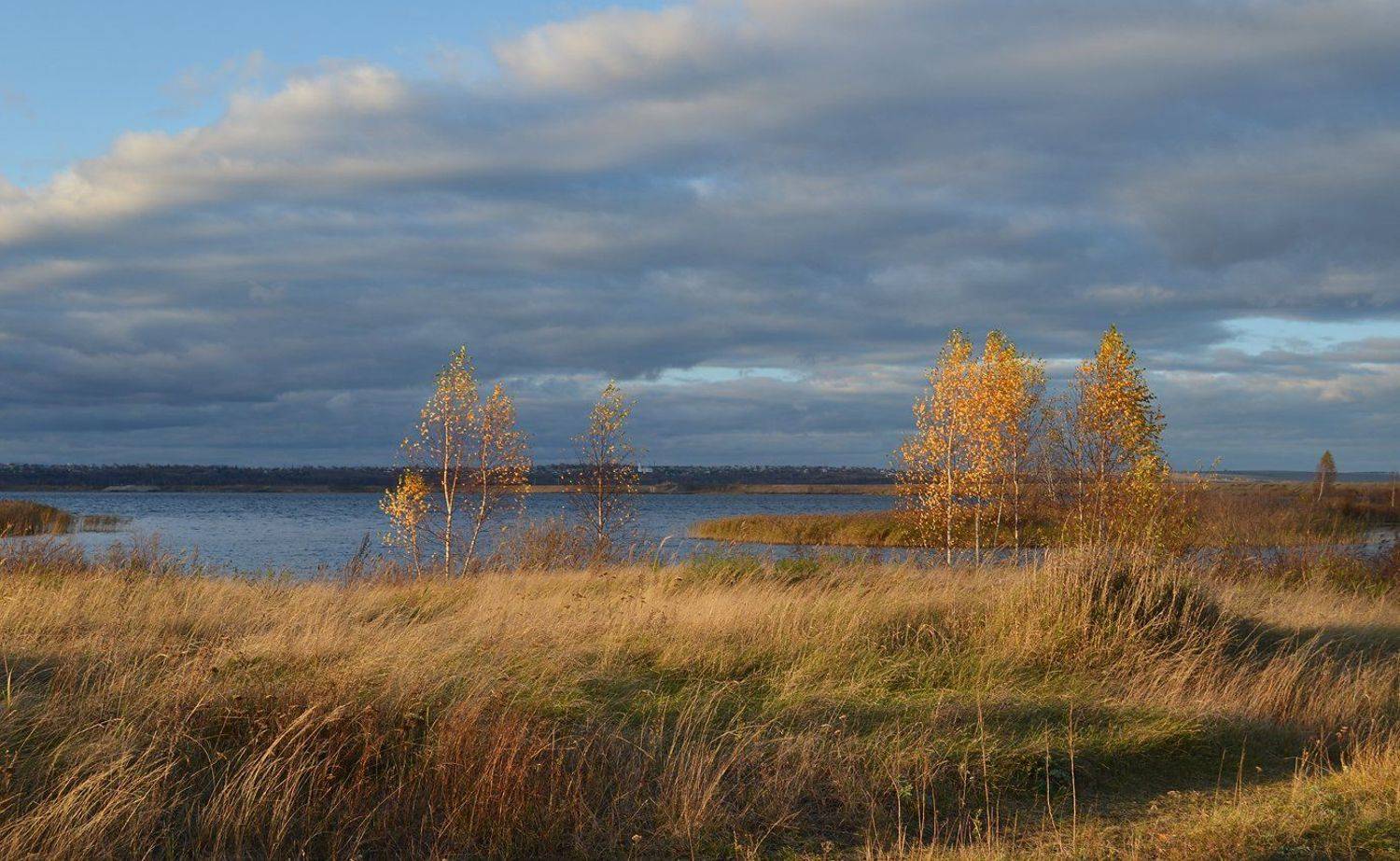 небо, ветер, простор, облака, солнечный свет, берег, травы, осень, Irina Shapronova