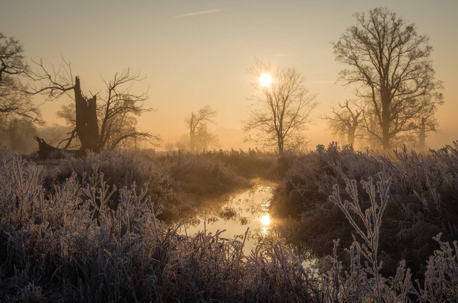 , Maciej Werbliński