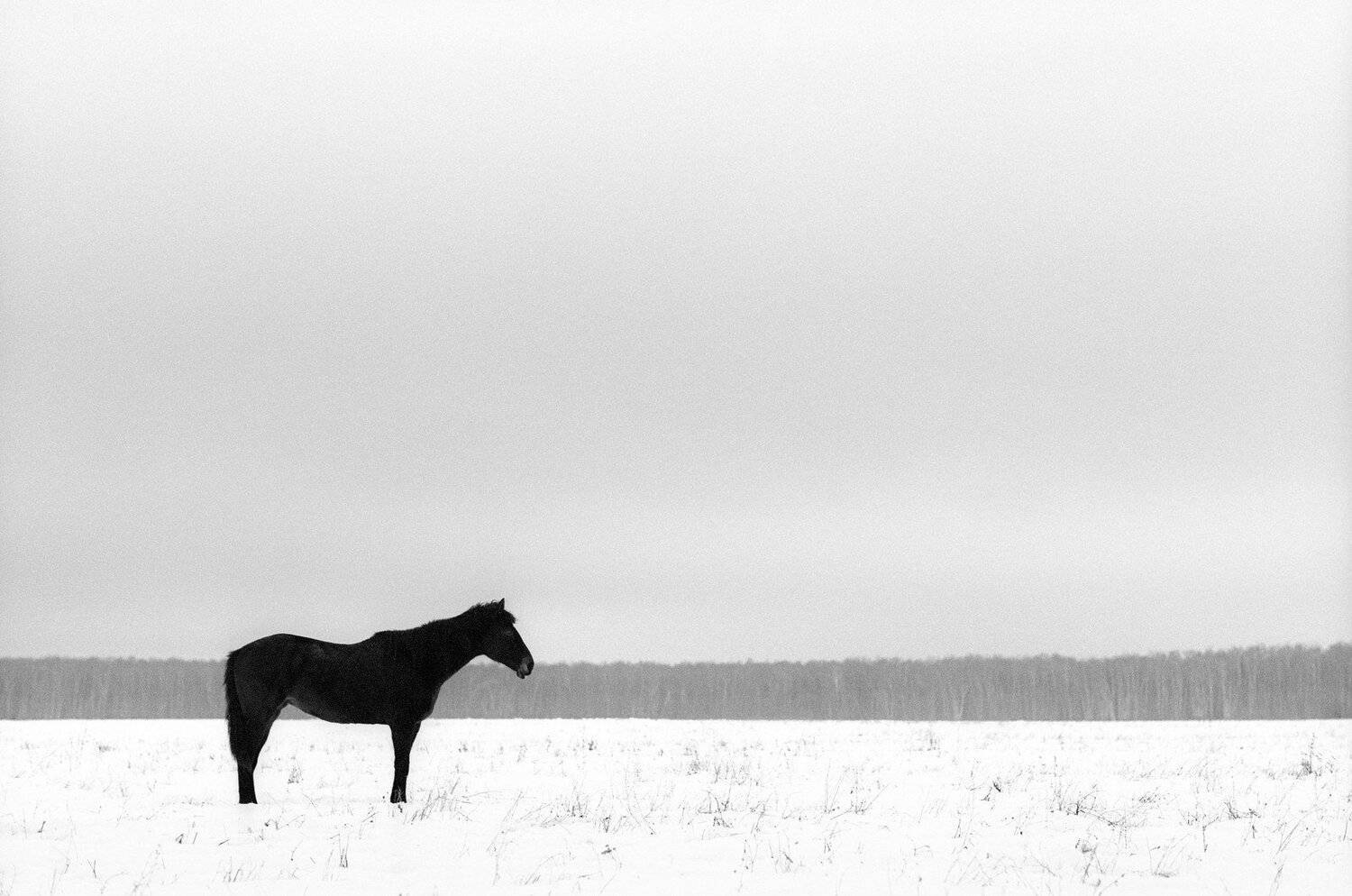 , Дмитрий Рябов