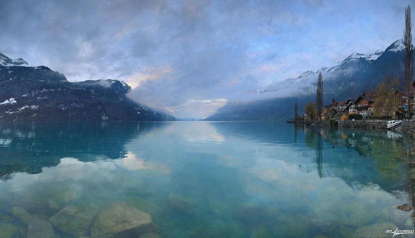 swiss, Матвеев Николай