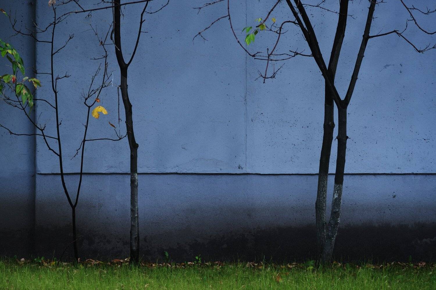 , Алексей Егоров