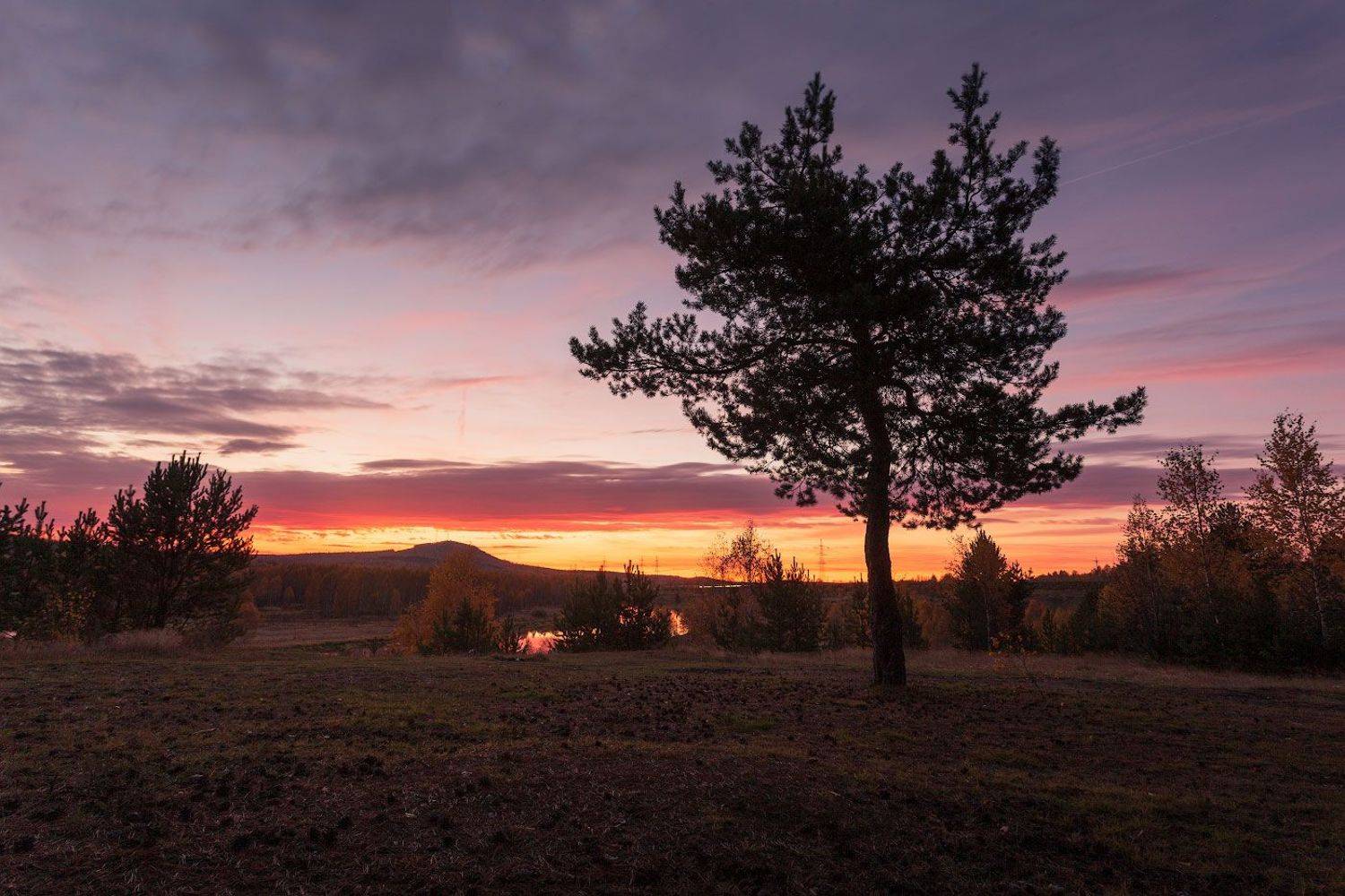 , Игорь Криницын