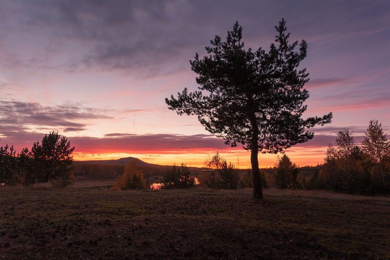 Тишина фото превью