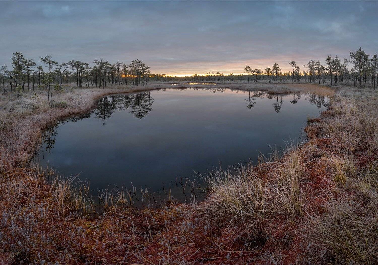 болото, кайф, рассвет ,север ,солнце, свет, закат, облака, отражение, фототур, Павел Ващенков