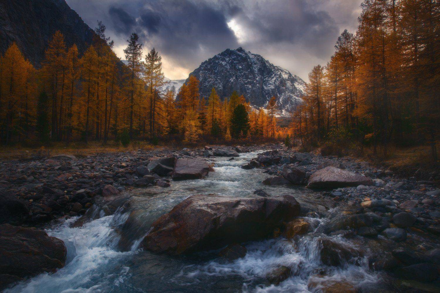 алтай, горы, актру, Владимир Ляпин