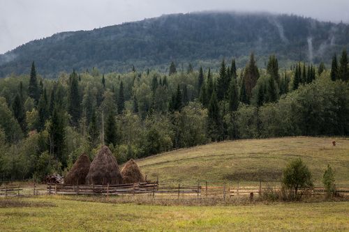 Начало осени
