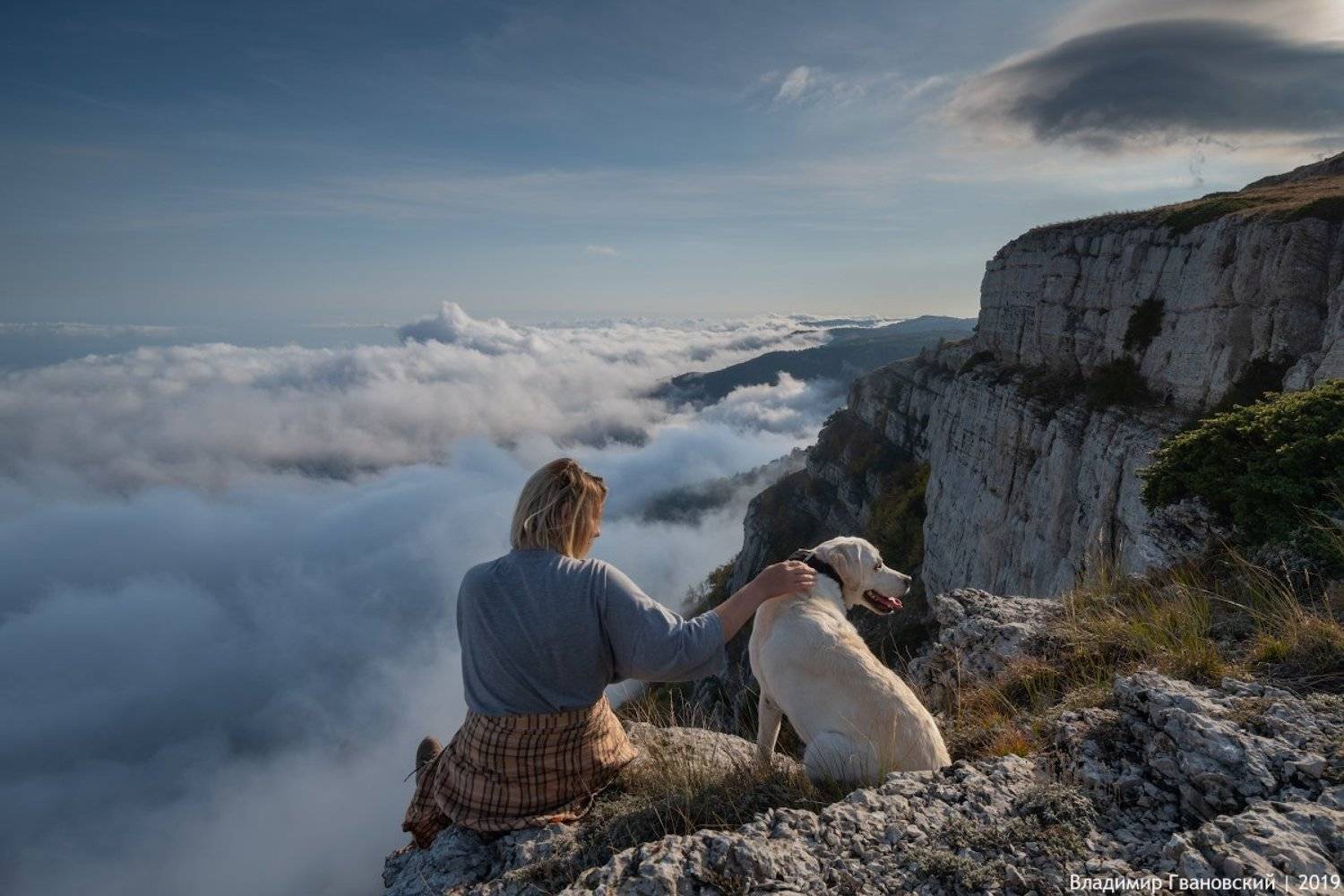 , Гвановский Владимир