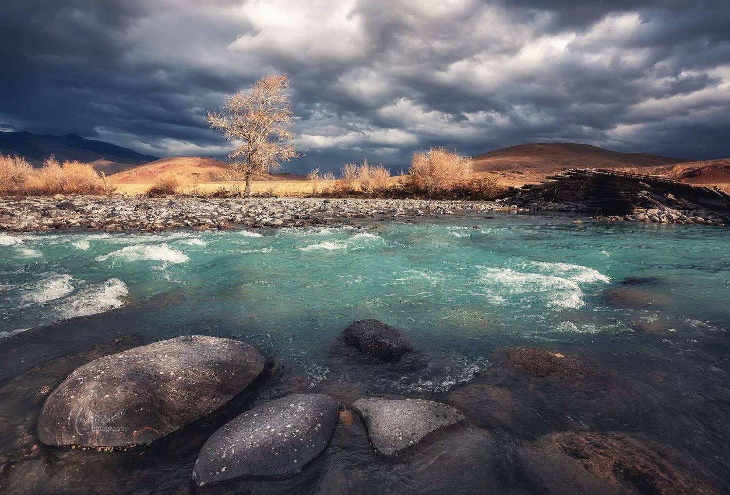 , Алексей Самойленко