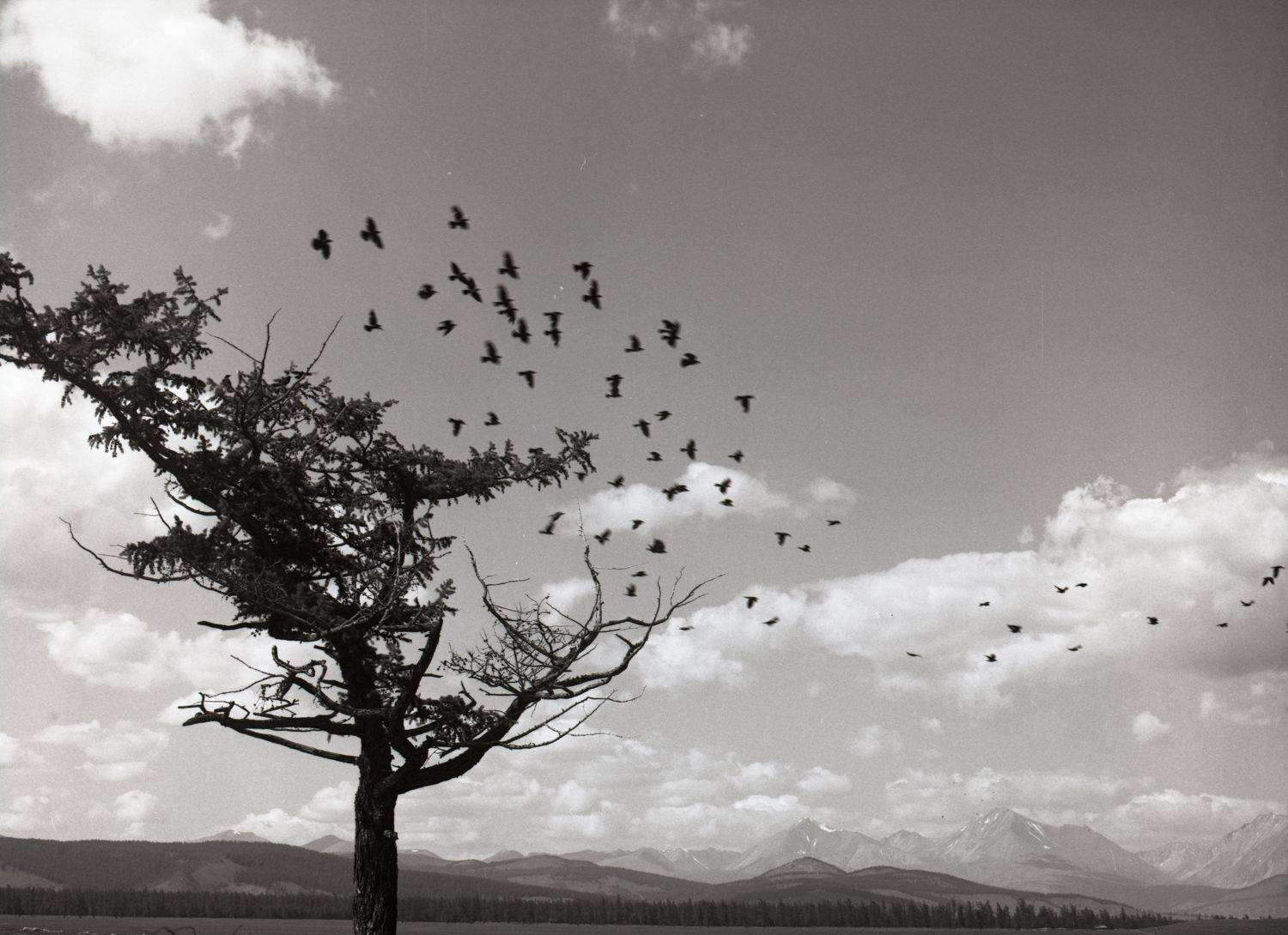 , Илья Глобин