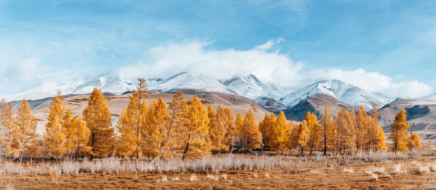 Алтай, осень, горы, Алеся Осадчая