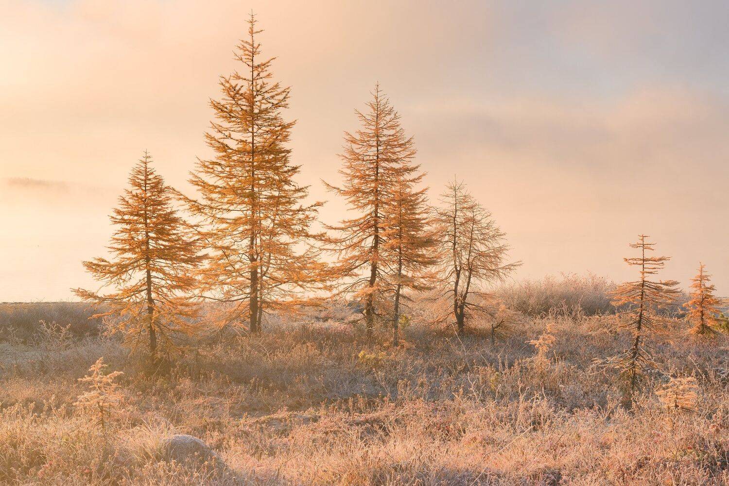 , Максим Евдокимов (phototourtravel.ru)