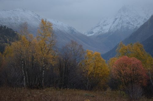 Светает