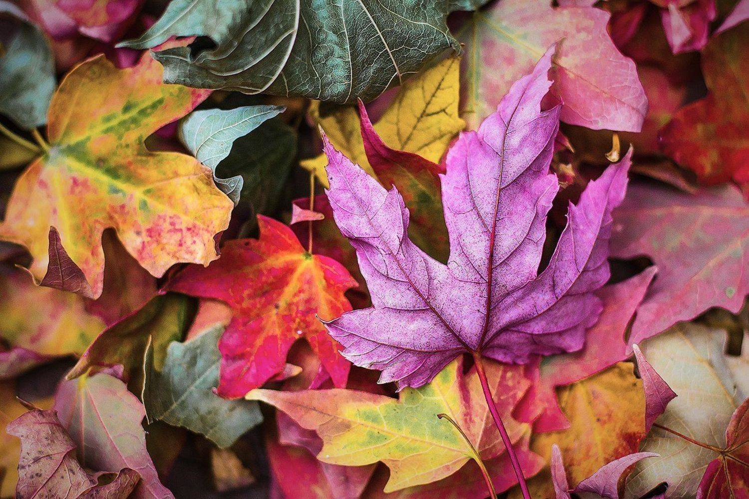 южный, урал, долгие горы, орск, новотроицк башкирия талкас, Качурин Алексей