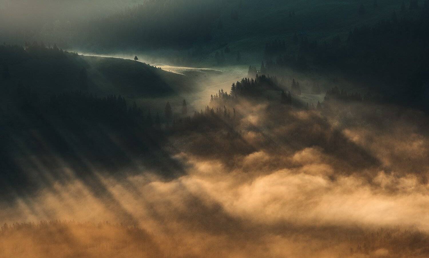 , Szabo Zsolt Andras