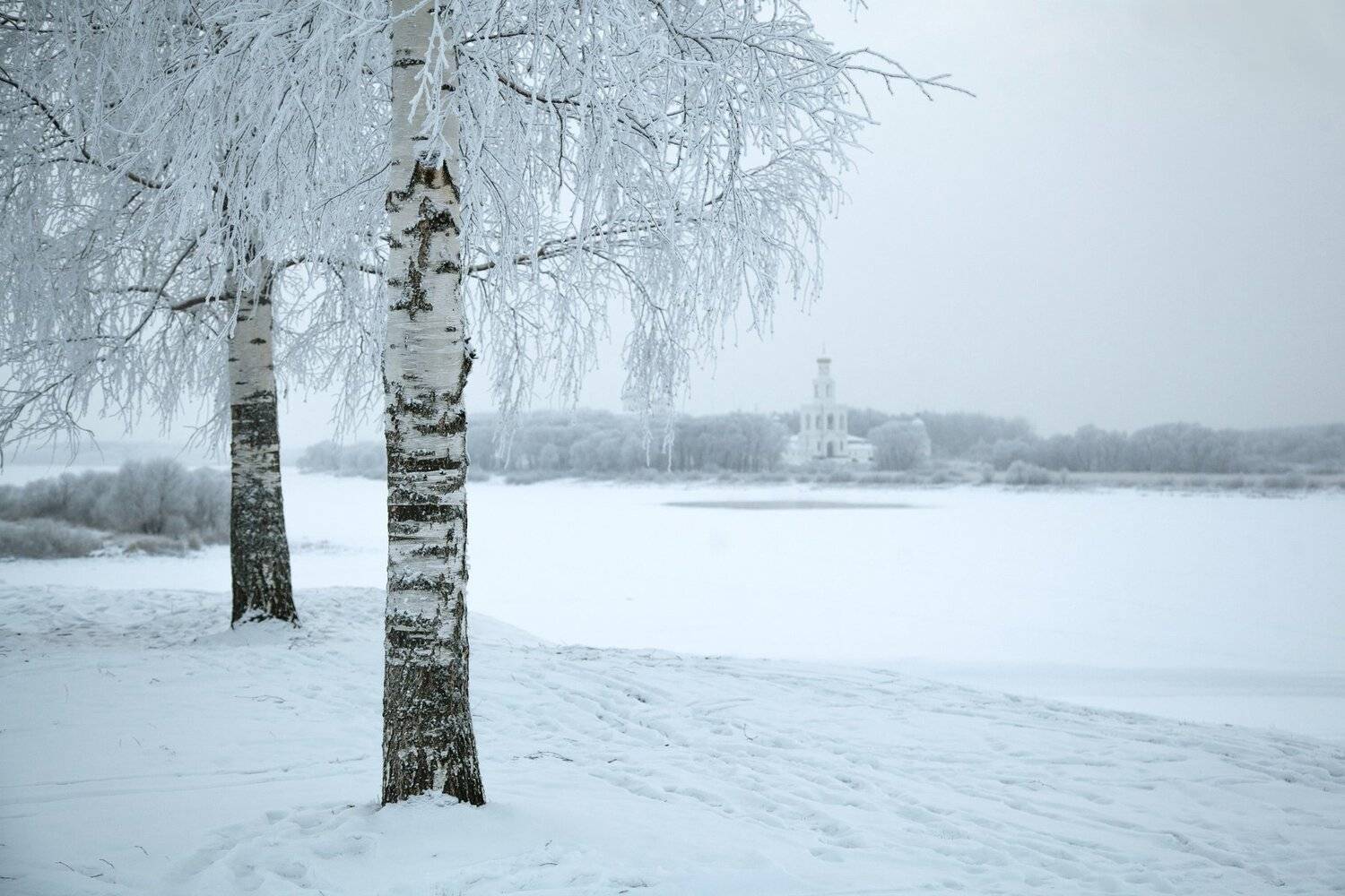 новгород, великий новгород, Элина Хван