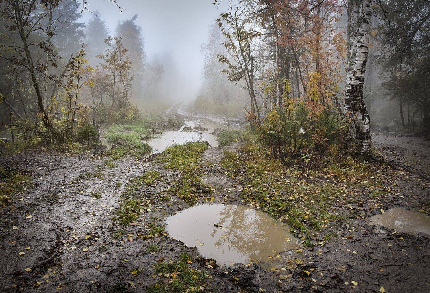 , Александр  Швачко