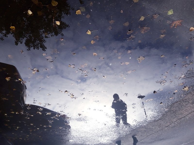 The Mystical Street фото превью