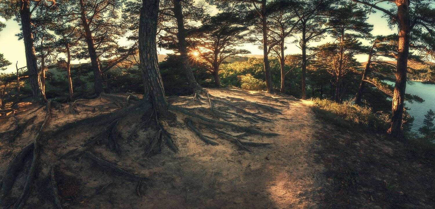 панорама, осень, лес, Андрей Кровлин