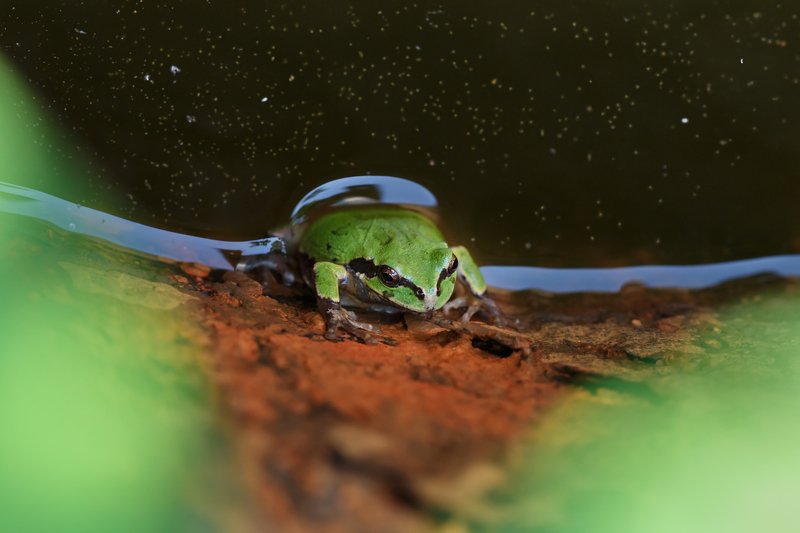 Марсианка.. фото превью