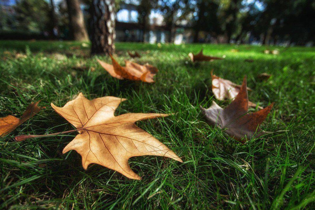 , Павел Сагайдак