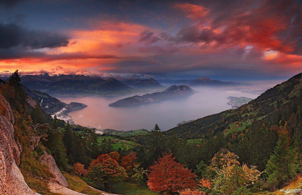 swiss, Матвеев Николай