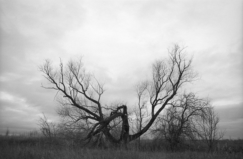 a place where dreams do not come true фото превью
