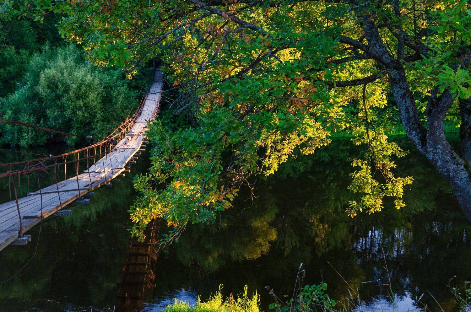 nevant60, пейзаж, красота, природа, Александр Березуцкий