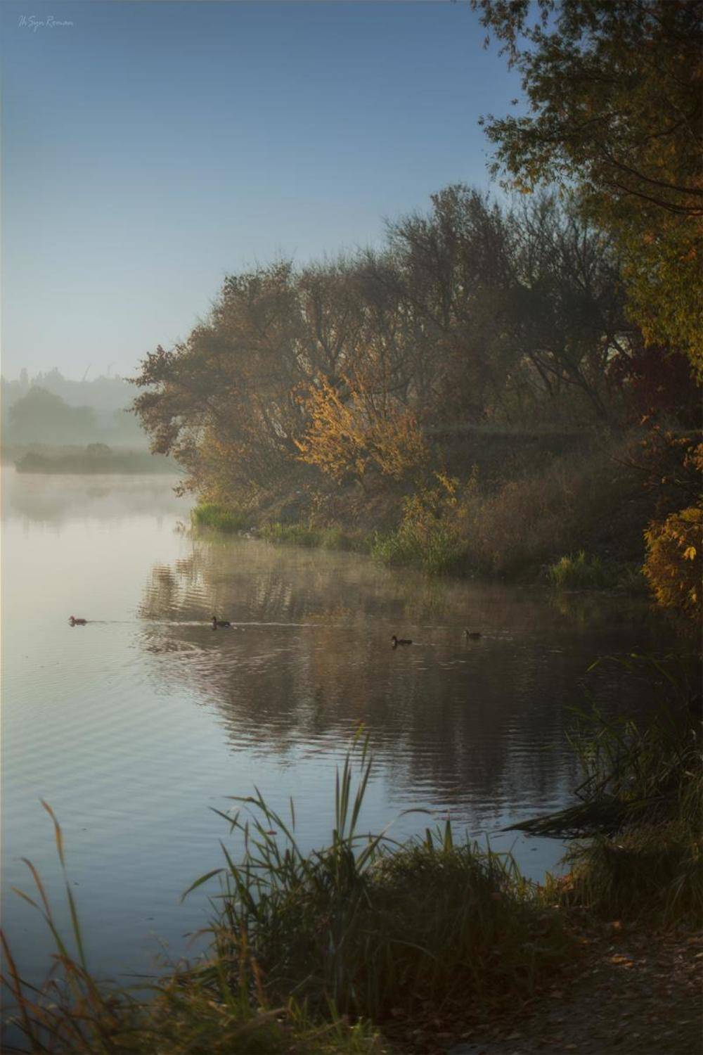 осень,утро,берег,река,утки, Roma  Chitinskiy