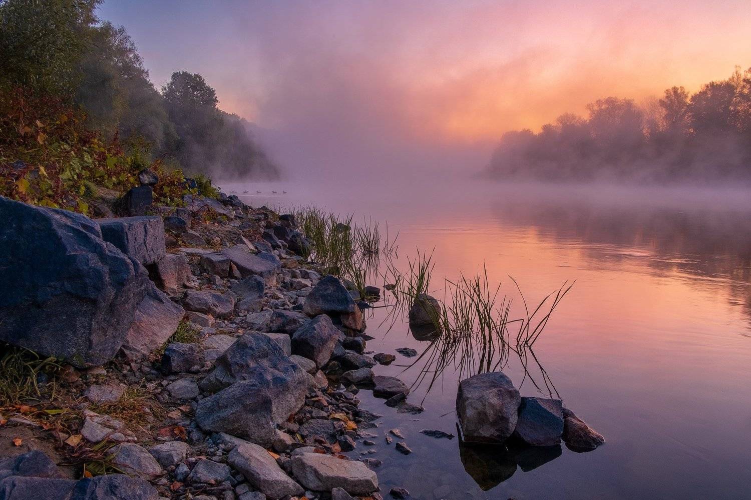 sunrise dawn landscape nature fog mist, Alex Arendar