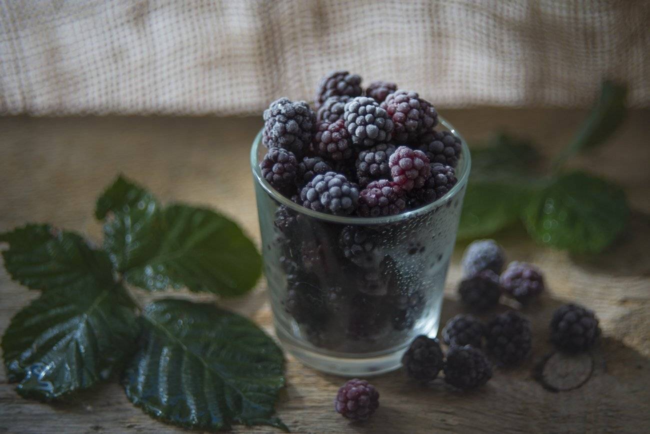 ежевика,мороз,октябрь,натюрморт, Елена Брежицкая