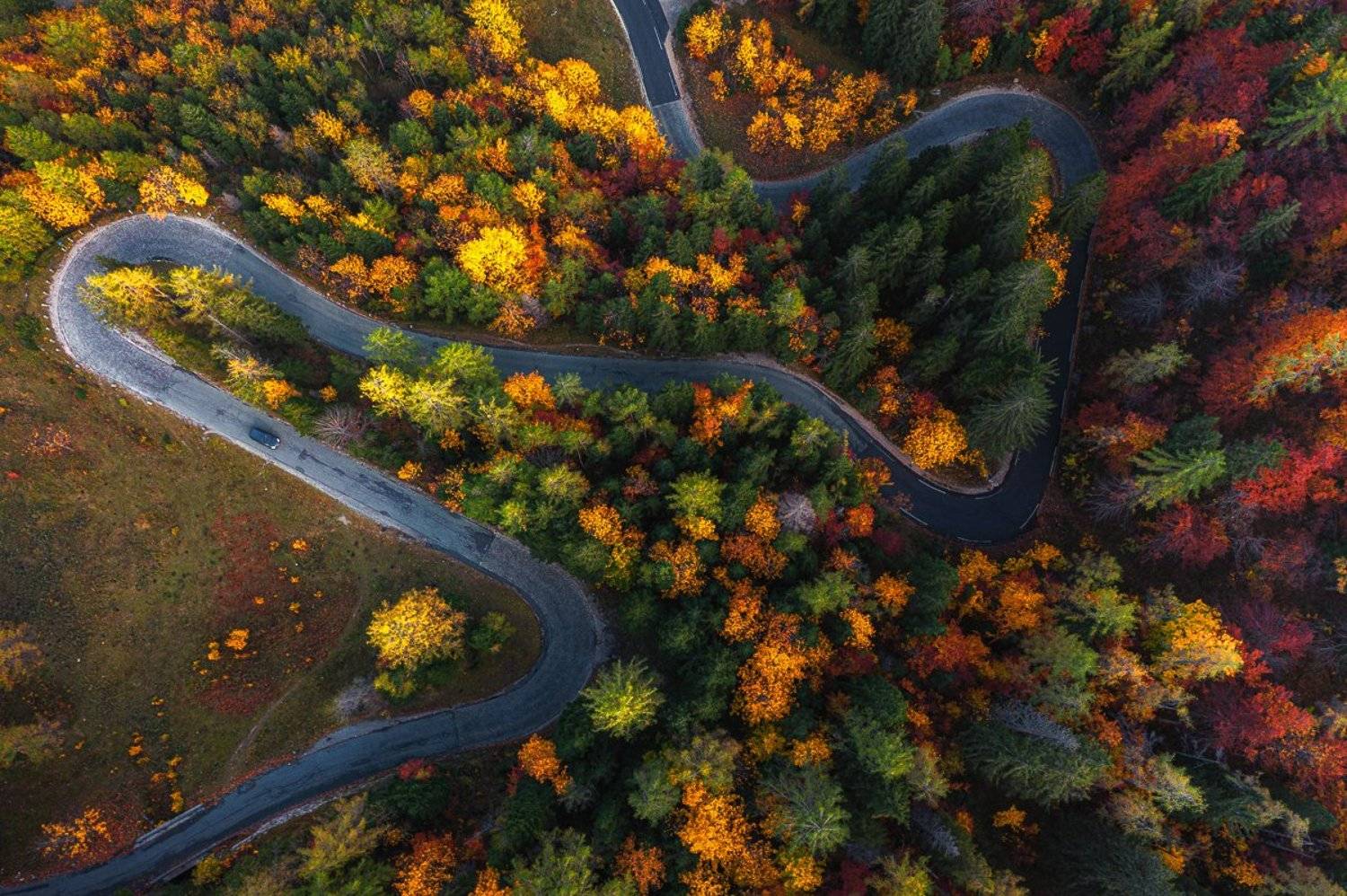 drone, aerial,dji,mavic2,slovenia,autumn, Marek Biegalski