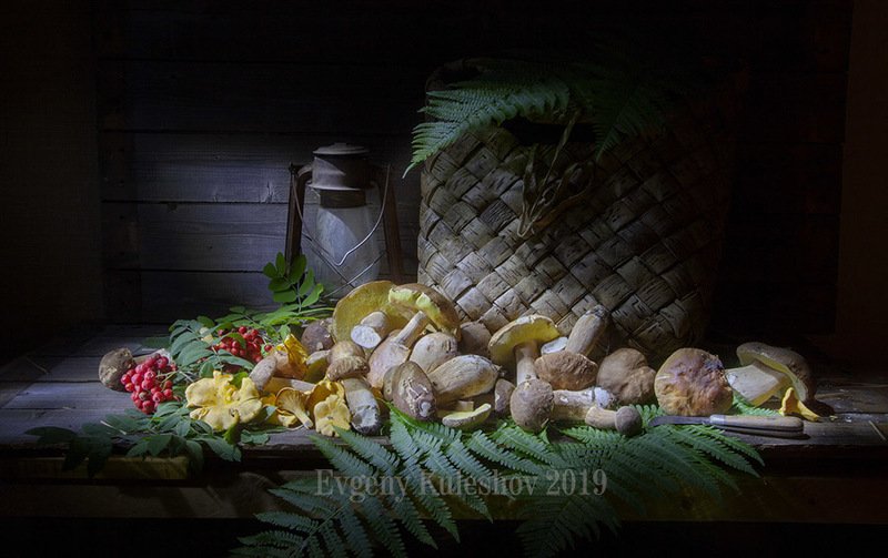 гриб, грибы, белый, подберезовик, лето, Евгений Кулешов, фотограф Евгений Кулешов Грибная пора фото превью