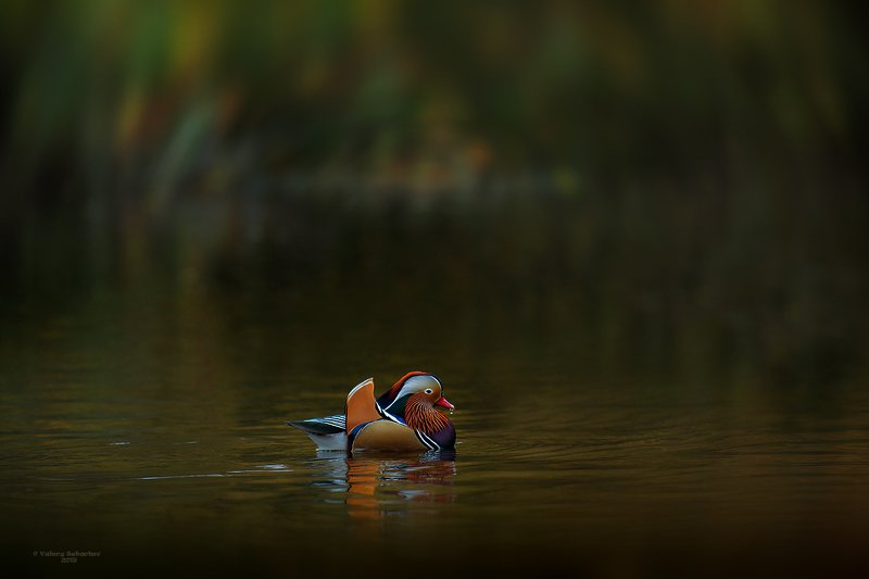 Кораблик фото превью