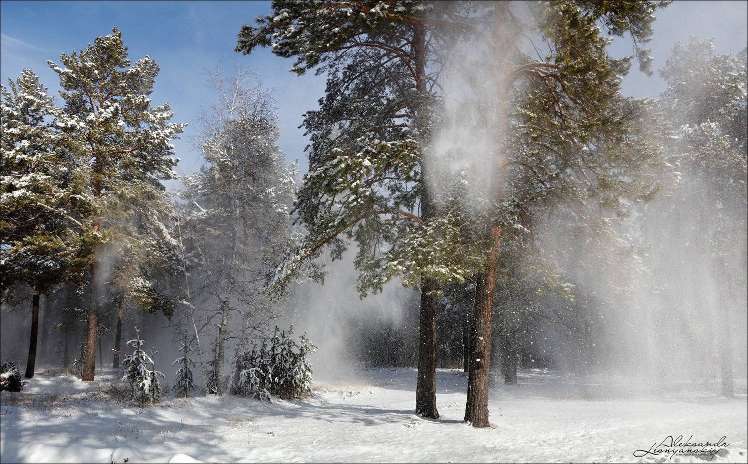 , Александр Леснянский
