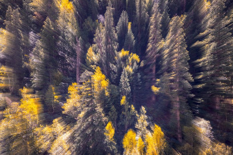 Autumn фото превью