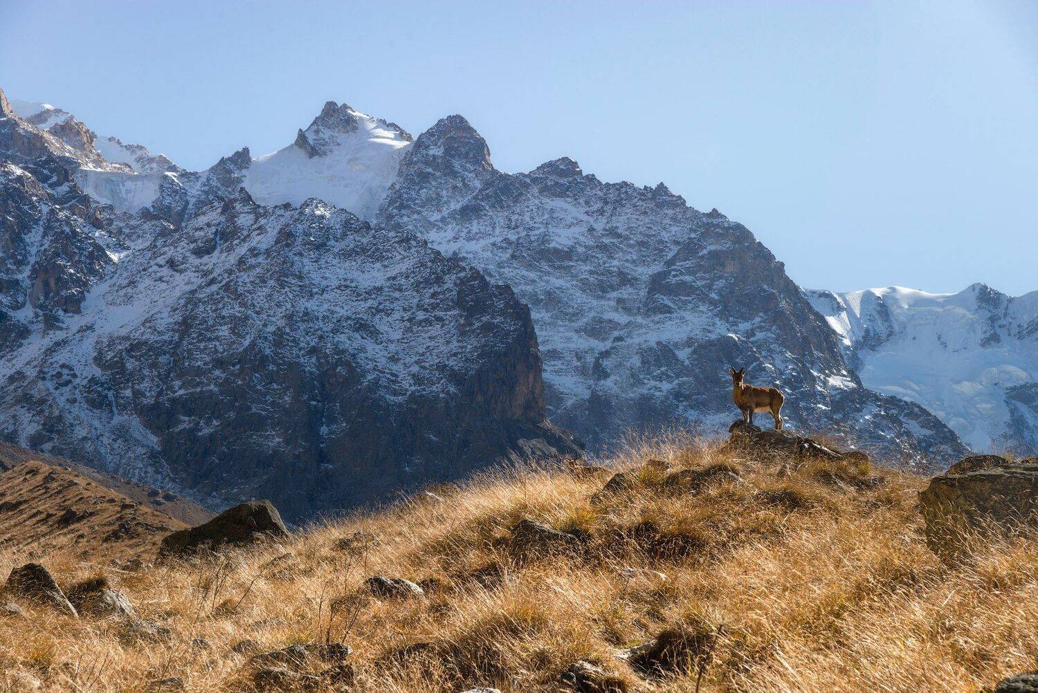 , Шевченко Юрий