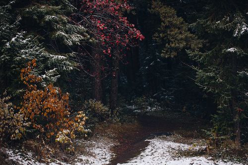 На пороге зимы