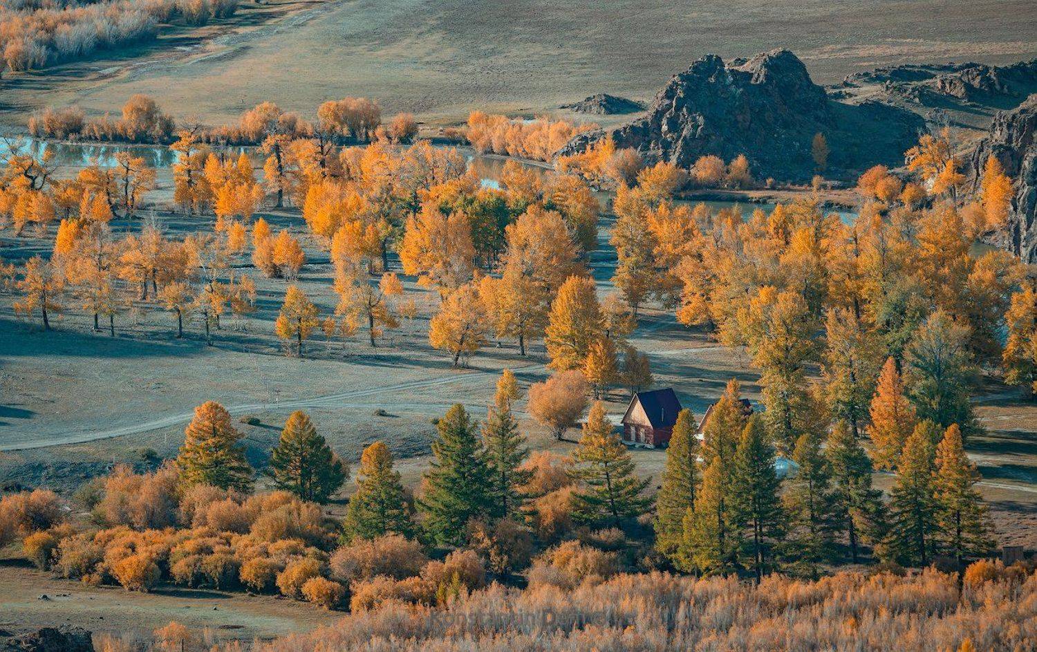 , Константин Дэм