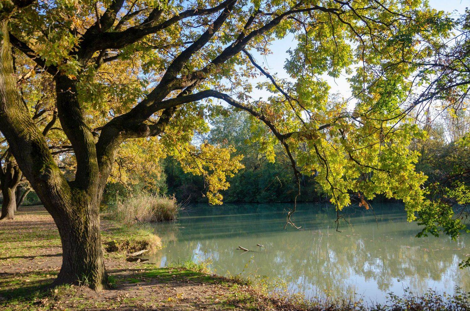 , Алексей Рыльский
