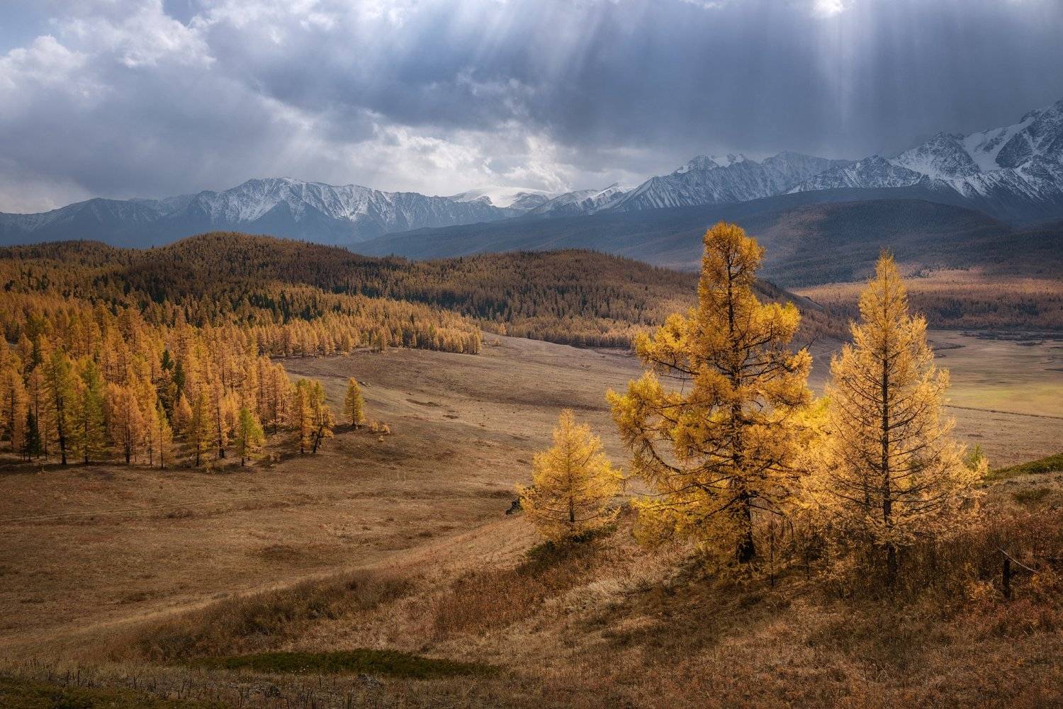 алтай, горный алтай, ештыкель, урочище ештыкель, лиственницы, горы, солнечные лучи, северо-чуйский хребет, золотая осень, улаганский район, altai mountains, highlands, Алена Рубан