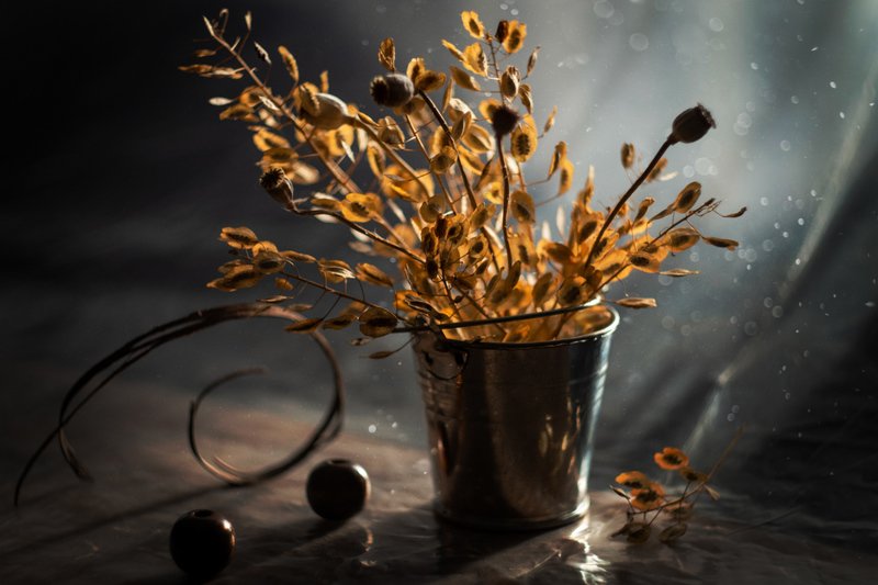 Осенний мотив фото превью