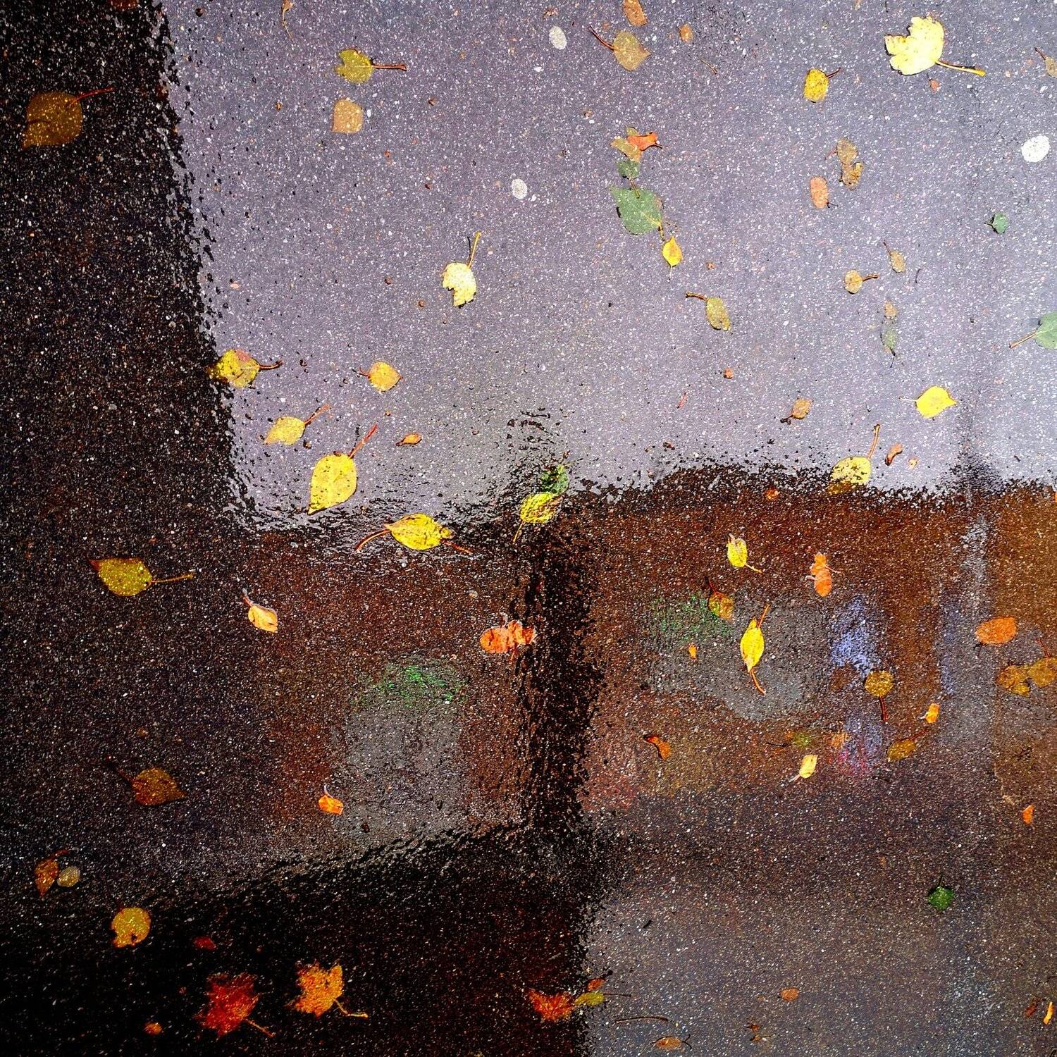 , Антон Лаба