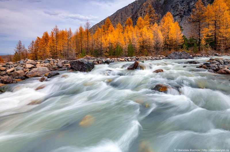 осень, Алтай  фото превью
