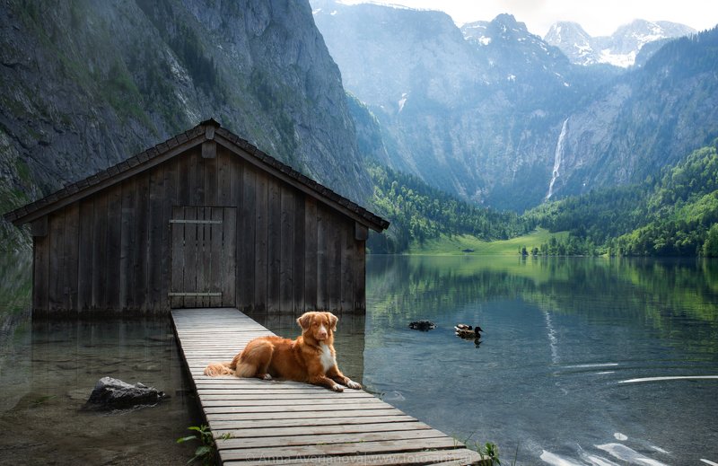 фото превью