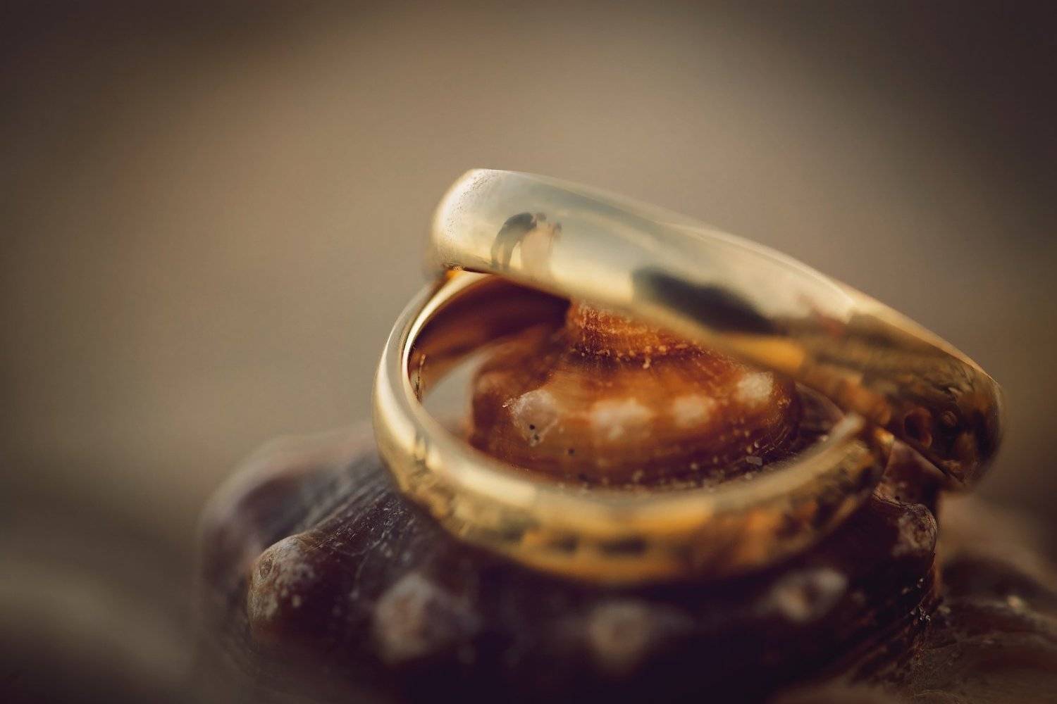 , Nicolae Fanurie Chirobocea