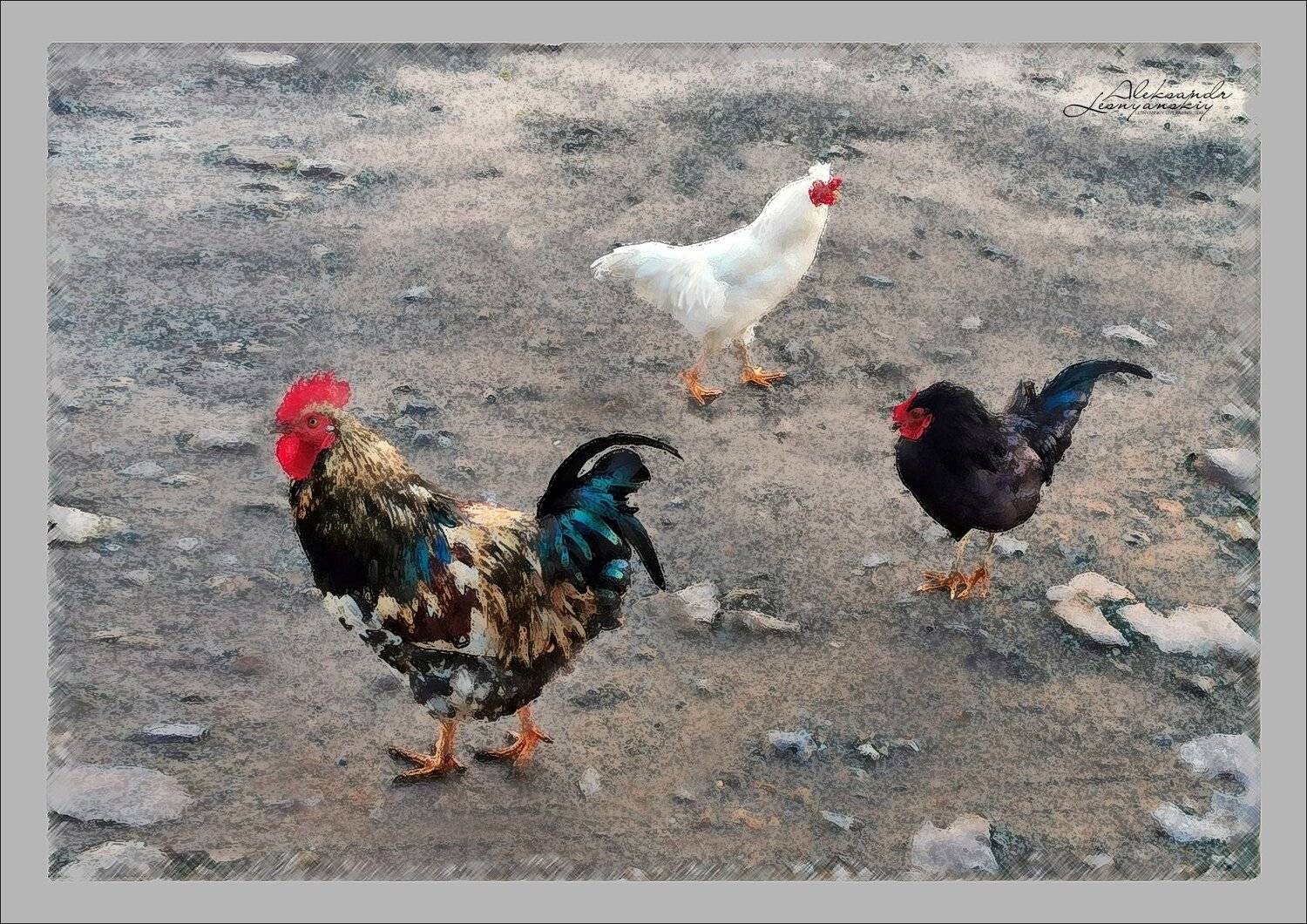 , Александр Леснянский