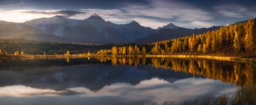 Золото Киделю