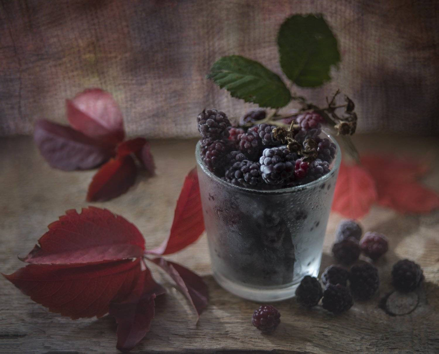 ежевика,октябрь,гелиос,осень,натюрморт, Елена Брежицкая