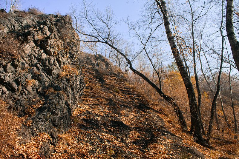 осень, октябрь * фото превью