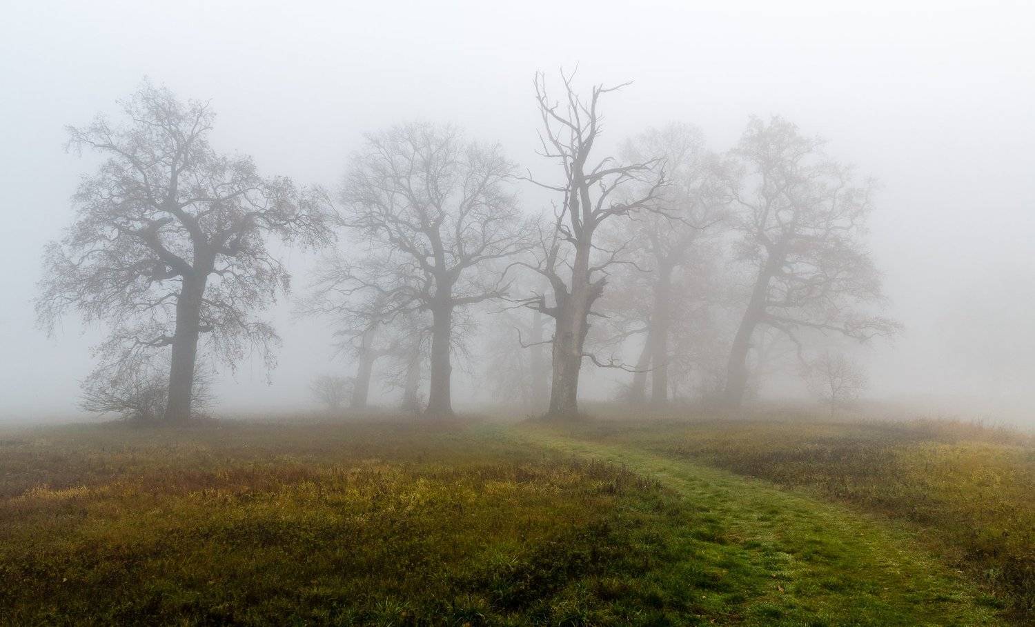 , Maciej Werbliński